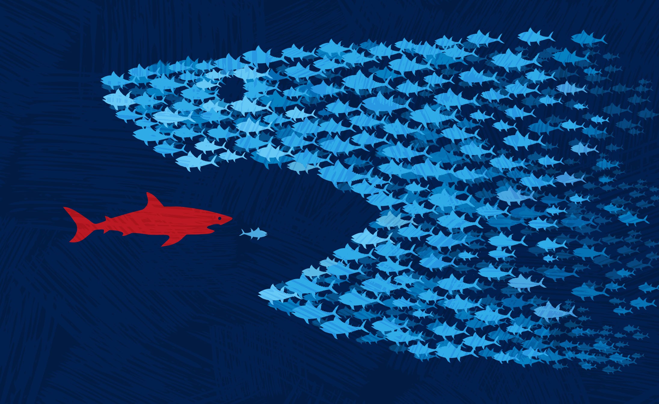 Piirroskuva, jossa pienistä kaloista muodostuu hain pää ja kalaparvea vastaan ui yksi pienempi kala, joka näyttää joutuvan kalaparvesta muodostuvan hain kitaan.