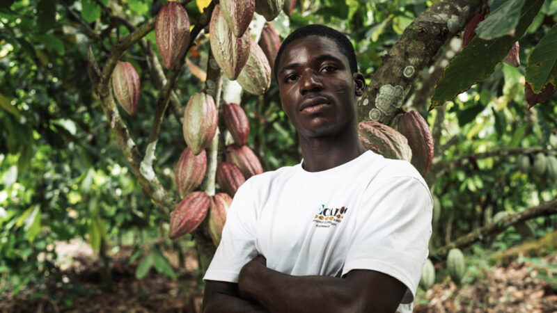 Ghanalainen nuori mies valkoisessa t-paidassa seisoo kaakao-puun edessä.